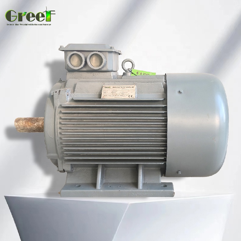 Renewable Energy Hydro - 50kW 100kW 1MW 저속 회전 영구
